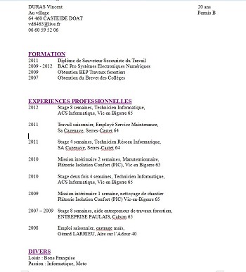 Exemple De Cv 2nd